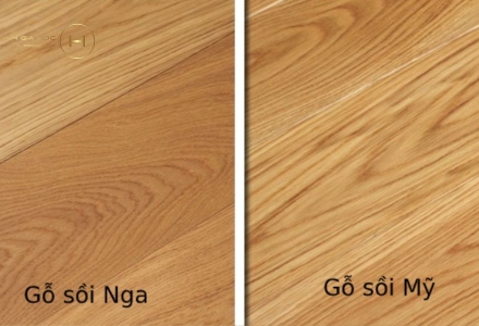 Phân biệt gỗ sồi Nga và sồi Mỹ? Loại nào làm nội thất tốt hơn