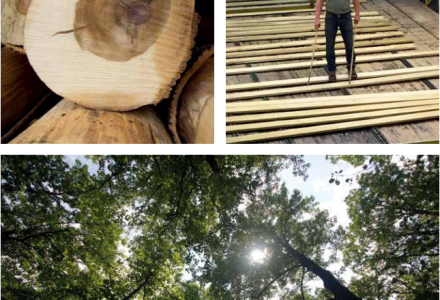 ẢNH HƯỞNG CỦA ĐỘ ẨM ĐẾN ĐỘ BỀN NỘI THẤT GỖ