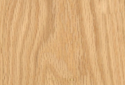 Gỗ sồi Mỹ là gì? So sánh và cách nhận biết chuẩn