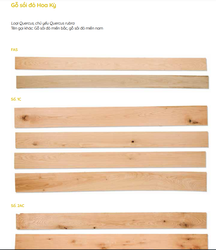 Phẩm chất gỗ sồi MỸ