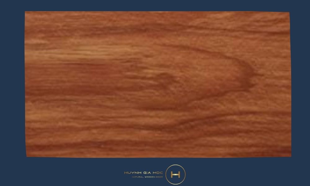 Gỗ sồi Nga đỏ