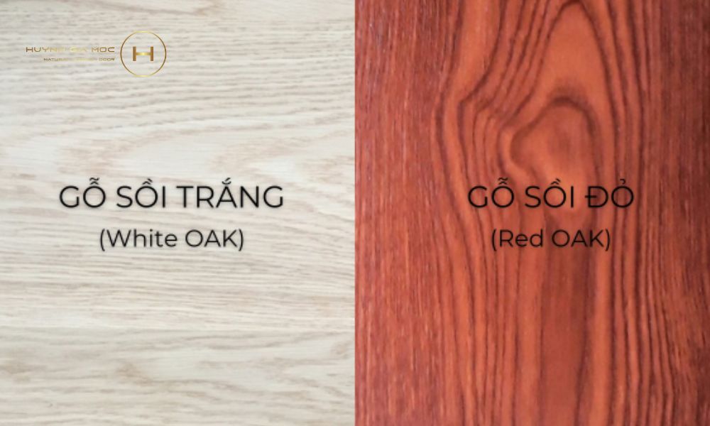 So sánh gỗ sồi trắng với gỗ sồi đỏ