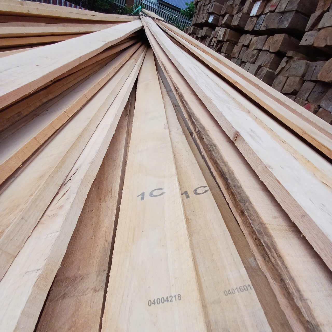 gỗ Sồi tự nhiên tiêu chuẩn 1Com
