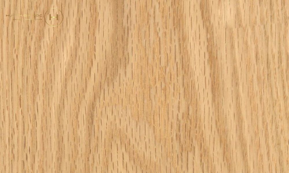 Gỗ sồi Mỹ khai thác tại Hoa Kỳ